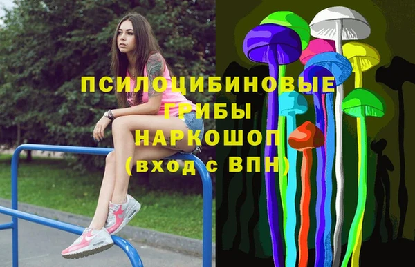 тгк Абаза