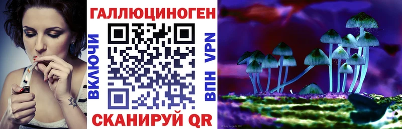 Галлюциногенные грибы Psilocybine cubensis  Болохово 